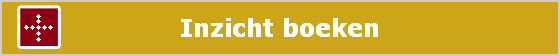 Inzicht boeken