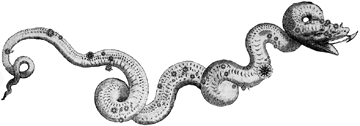 Net zoals enkele andere sterrenbeelden houdt Hydra verband met n van de opdrachten van Heracles. Hydra heeft te maken met de tweede opdracht van Heracles. Heracles had de Nemurische leeuw gedood en de beschermende huid van het beest als mantel om hem heen geslagen. Zo gekleed ging hij op zoek naar Hydra. Hydra was een gigantisch beest, lijkende op een hond met veel koppen. De mythen hebben het over vijf of zeven koppen. Zeven is een geaccepteerd aantal, wellicht doordat er zeven rivieren stromen in het gedeelte van het Griekse schiereiland waar het verhaal zich afspeelt. Zeven is een geaccepteerd aantal, wellicht doordat er zeven rivieren stromen in het gedeelte van het Griekse schiereiland waar het verhaal zich afspeelt.